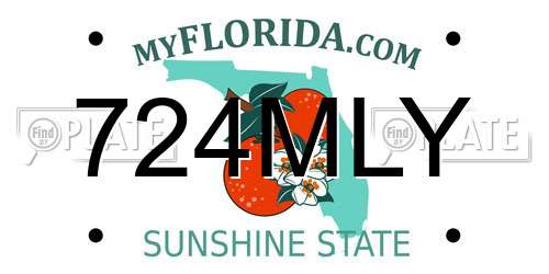 724MLY Florida License Plate
