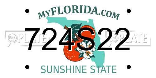 724S22 Florida License Plate