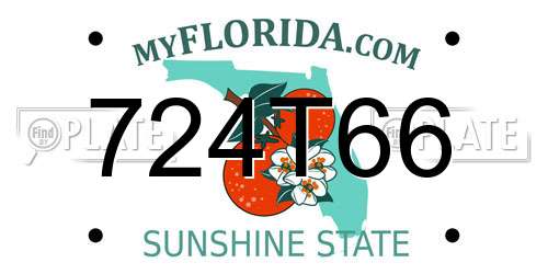 724T66 Florida License Plate