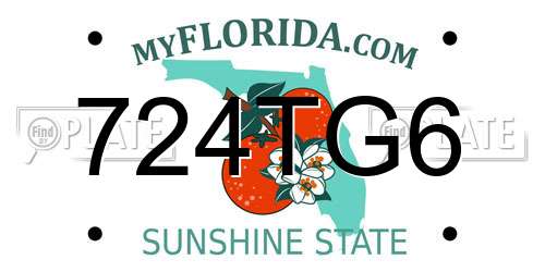 724TG6 Florida License Plate