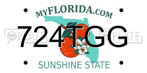 724TGG Florida License Plate