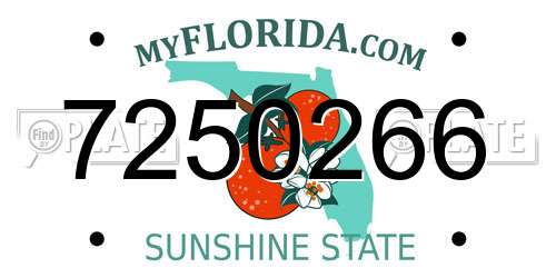 7250266 Florida License Plate