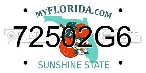 72502G6 Florida License Plate