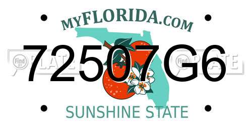72507G6 Florida License Plate
