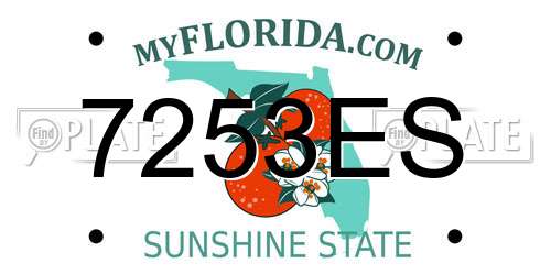 7253ES Florida License Plate