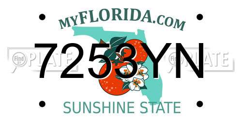 7253YN Florida License Plate
