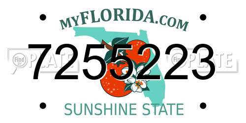 7255223 Florida License Plate