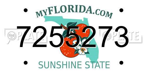 7255273 Florida License Plate