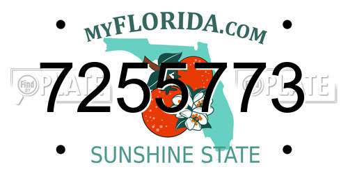 7255773 Florida License Plate