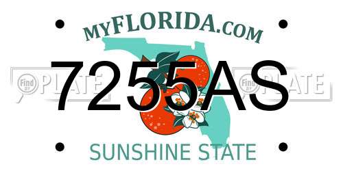 7255AS Florida License Plate