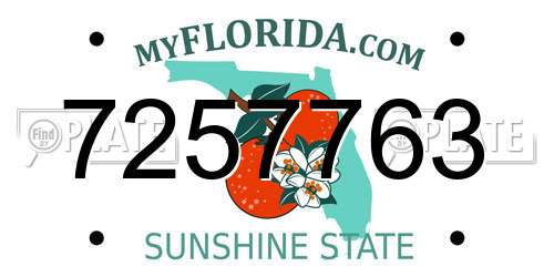 7257763 Florida License Plate