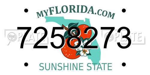 7258273 Florida License Plate