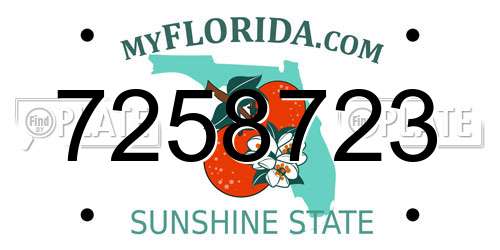 7258723 Florida License Plate