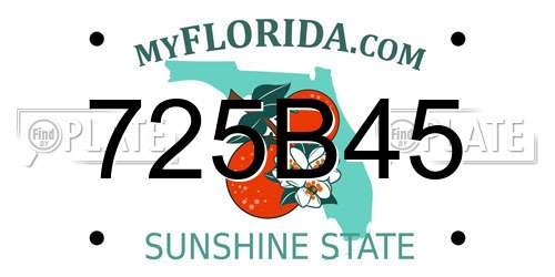 725B45 Florida License Plate