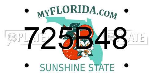 725B48 Florida License Plate