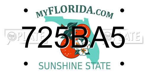 725BA5 Florida License Plate