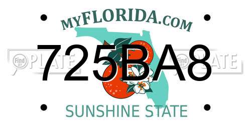 725BA8 Florida License Plate