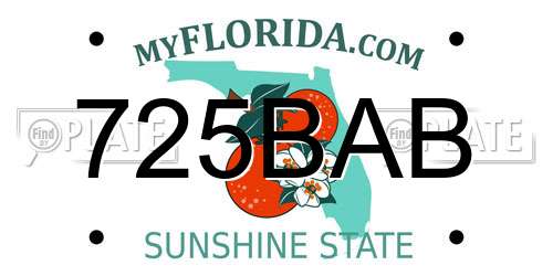 725BAB Florida License Plate