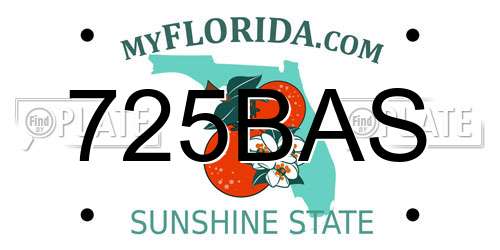 725BAS Florida License Plate