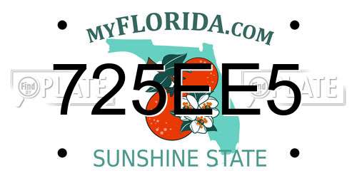 725EE5 Florida License Plate