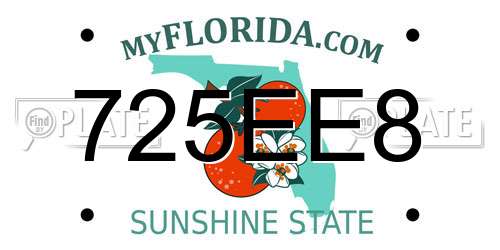 725EE8 Florida License Plate