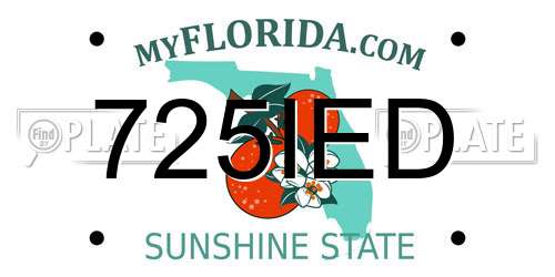 725IED Florida License Plate
