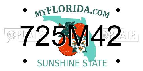 725M42 Florida License Plate