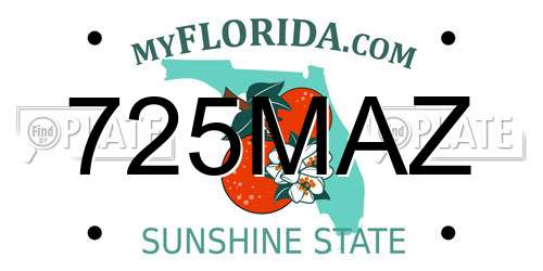 725MAZ Florida License Plate