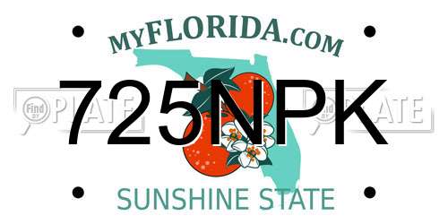725NPK Florida License Plate
