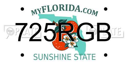 725RGB Florida License Plate