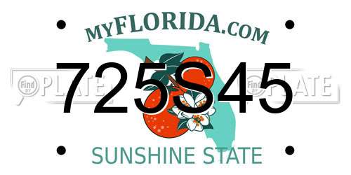 725S45 Florida License Plate