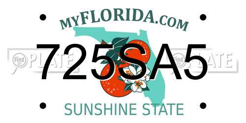 725SA5 Florida License Plate