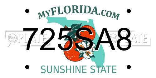 725SA8 Florida License Plate