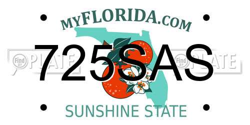 725SAS Florida License Plate