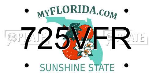 725VFR Florida License Plate