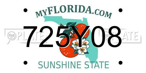 725Y08 Florida License Plate