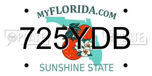 725YDB Florida License Plate