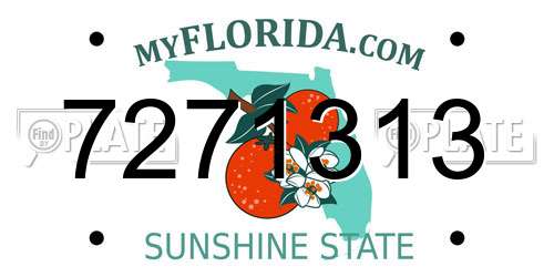 7271313 Florida License Plate