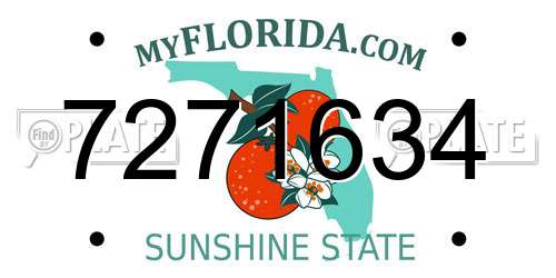 7271634 Florida License Plate