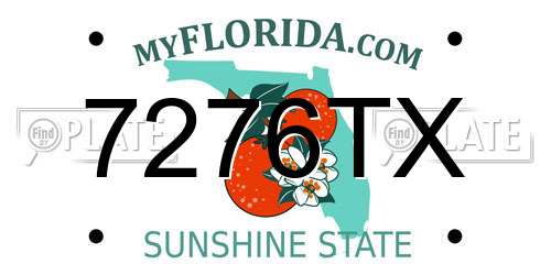 7276TX Florida License Plate