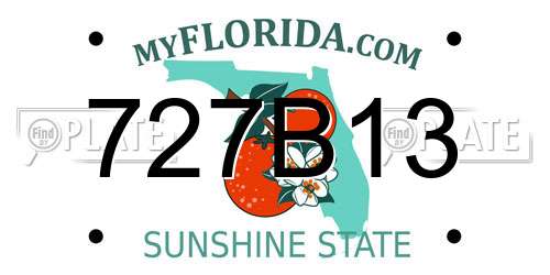 727B13 Florida License Plate