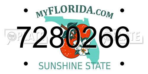 7280266 Florida License Plate