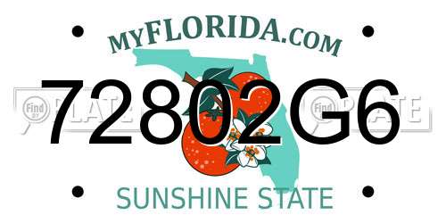 72802G6 Florida License Plate