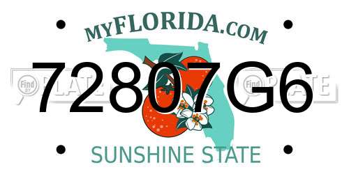 72807G6 Florida License Plate