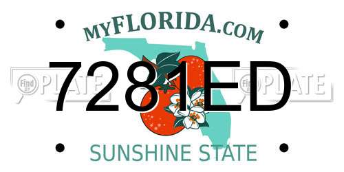 7281ED Florida License Plate