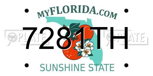 7281TH Florida License Plate