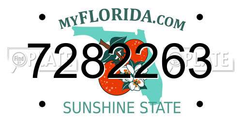 7282263 Florida License Plate