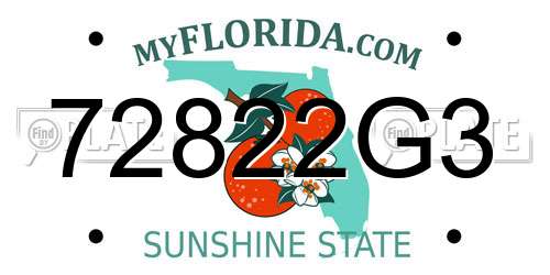 72822G3 Florida License Plate