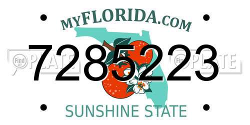 7285223 Florida License Plate