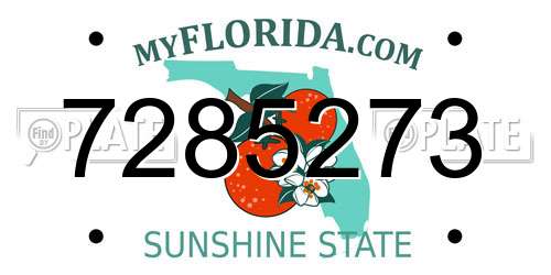 7285273 Florida License Plate